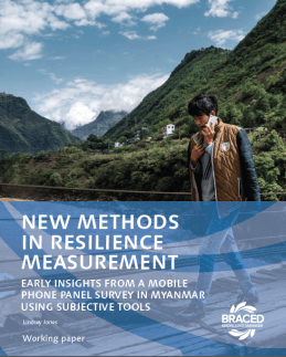 Report on mobile-phone surveys and subjective resilience